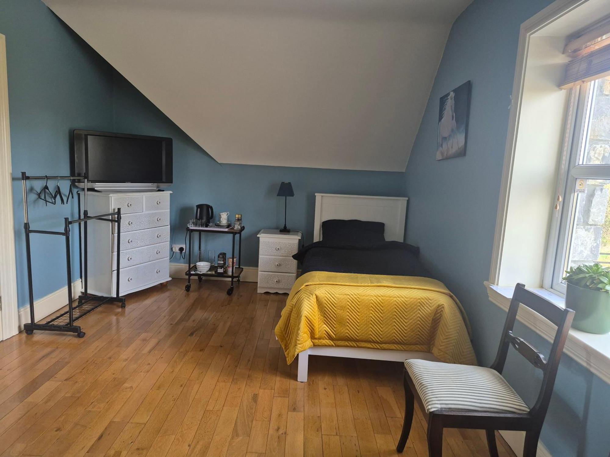Ballinasloe Guest House In The Heart Of The Country Εξωτερικό φωτογραφία
